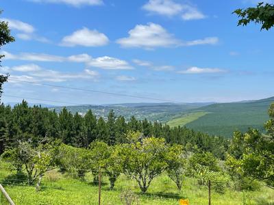 Smallholding  For Sale in Greytown, Greytown
