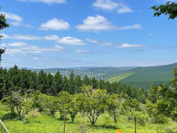 Property For Sale in Greytown, Greytown